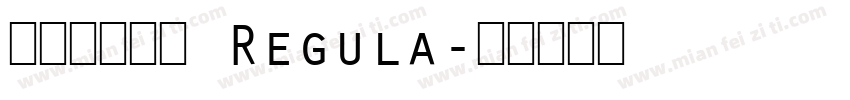 ●大润发粗圆 Regula字体转换